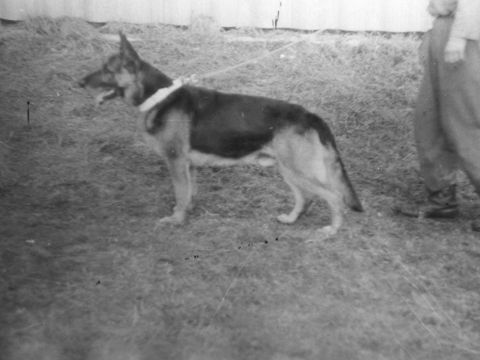 Foto 7